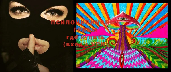 ГАЛЛЮЦИНОГЕННЫЕ ГРИБЫ Осташков