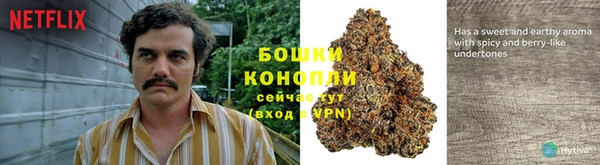 каннабис Няндома
