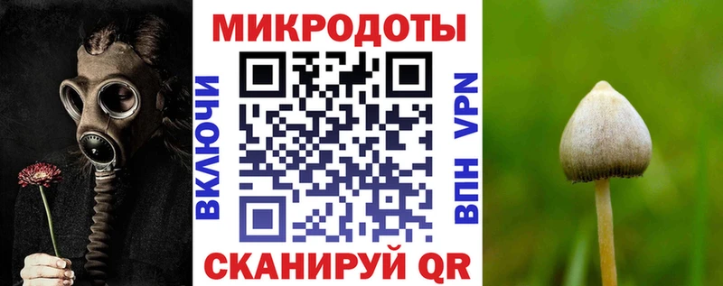 Купить где  Катайск  Псилоцибиновые грибы Magic Shrooms 